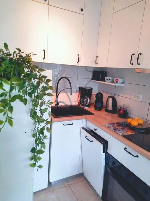 Apartment Nane Solin